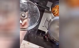 Codex CSV Video Retest 1773846053